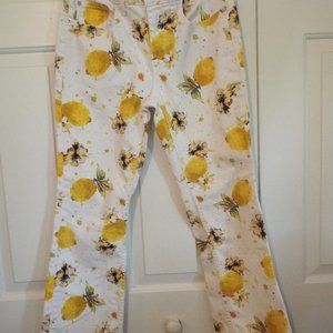 Pilcro High Rise Bootcut Pants Anthropologie